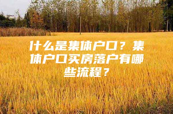 什么是集体户口？集体户口买房落户有哪些流程？