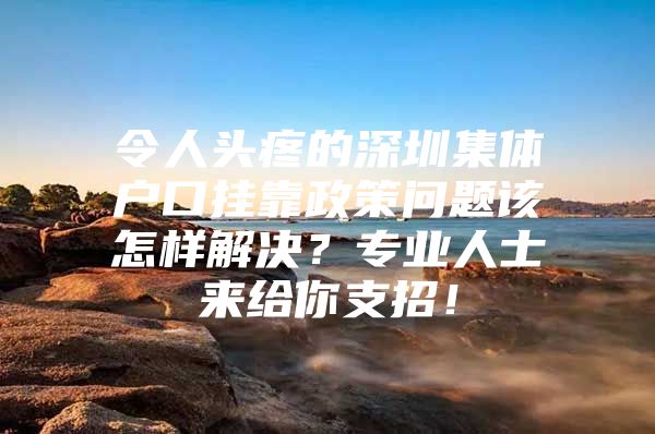 令人头疼的深圳集体户口挂靠政策问题该怎样解决？专业人士来给你支招！