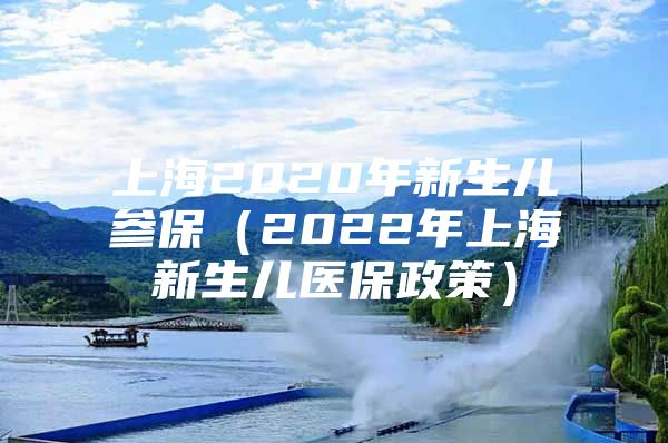 上海2020年新生儿参保（2022年上海新生儿医保政策）