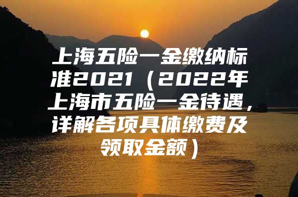 上海五险一金缴纳标准2021（2022年上海市五险一金待遇，详解各项具体缴费及领取金额）