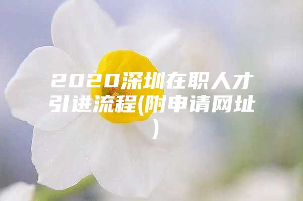 2020深圳在职人才引进流程(附申请网址）