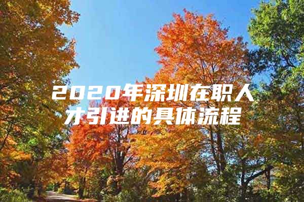 2020年深圳在职人才引进的具体流程