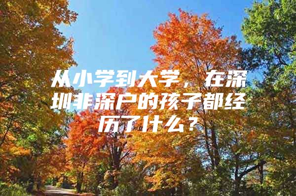 从小学到大学，在深圳非深户的孩子都经历了什么？