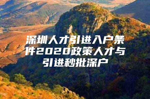 深圳人才引进入户条件2020政策人才与引进秒批深户