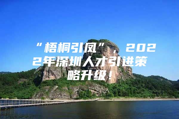 “梧桐引凤”，2022年深圳人才引进策略升级！