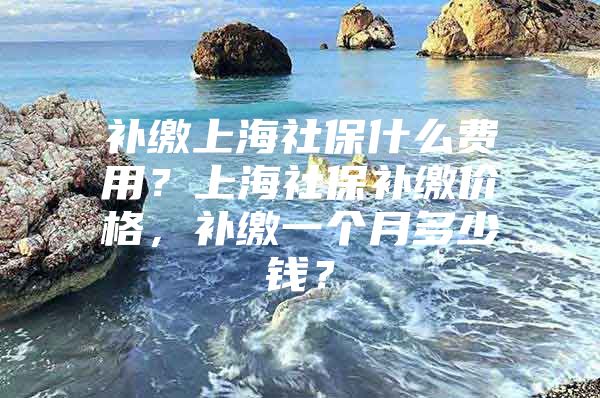 补缴上海社保什么费用？上海社保补缴价格，补缴一个月多少钱？