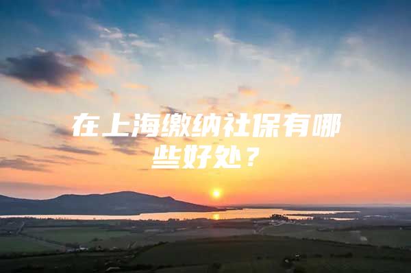 在上海缴纳社保有哪些好处？