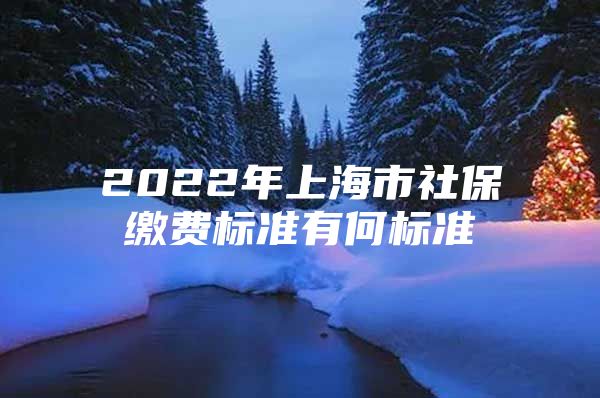 2022年上海市社保缴费标准有何标准