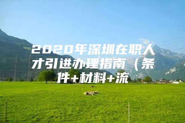 2020年深圳在职人才引进办理指南（条件+材料+流