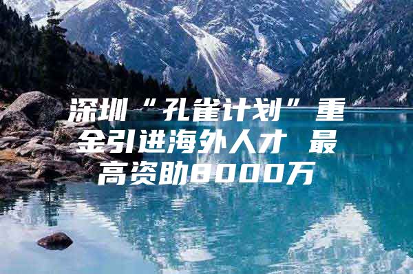 深圳“孔雀计划”重金引进海外人才 最高资助8000万