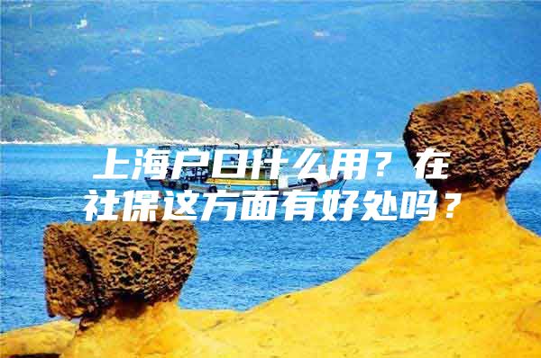 上海户口什么用？在社保这方面有好处吗？