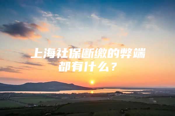 上海社保断缴的弊端都有什么？