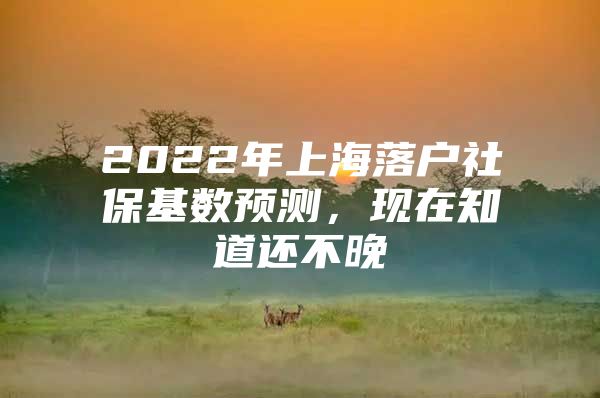 2022年上海落户社保基数预测，现在知道还不晚