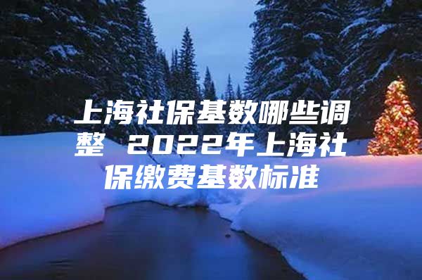 上海社保基数哪些调整 2022年上海社保缴费基数标准