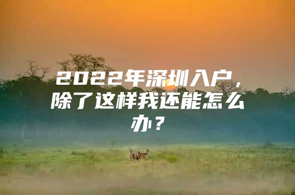 2022年深圳入户，除了这样我还能怎么办？