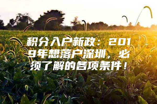 积分入户新政：2019年想落户深圳，必须了解的各项条件！