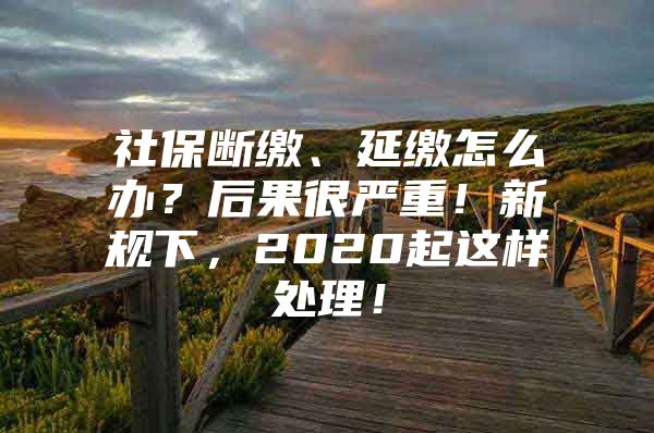 社保断缴、延缴怎么办？后果很严重！新规下，2020起这样处理！