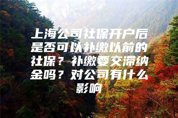 上海公司社保开户后是否可以补缴以前的社保？补缴要交滞纳金吗？对公司有什么影响