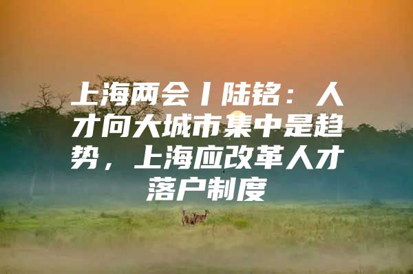 上海两会丨陆铭：人才向大城市集中是趋势，上海应改革人才落户制度