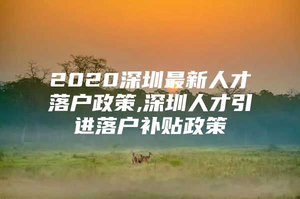 2020深圳最新人才落户政策,深圳人才引进落户补贴政策