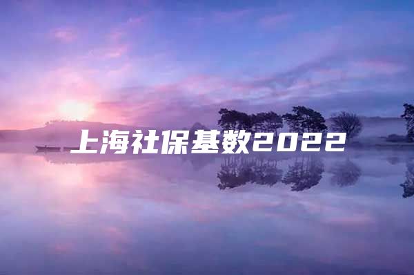 上海社保基数2022