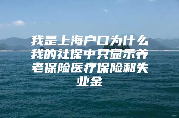 我是上海户口为什么我的社保中只显示养老保险医疗保险和失业金