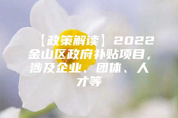 【政策解读】2022金山区政府补贴项目，涉及企业、团体、人才等