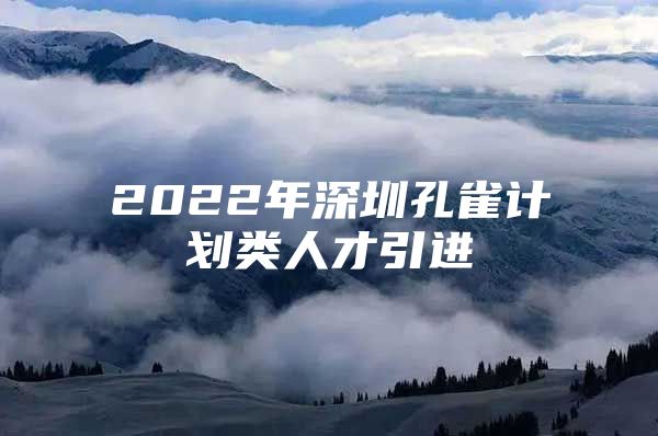 2022年深圳孔雀计划类人才引进