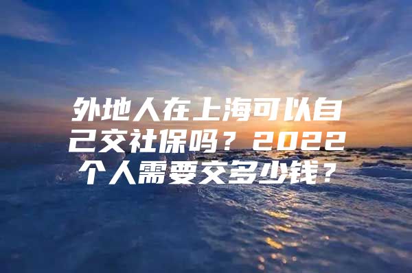 外地人在上海可以自己交社保吗？2022个人需要交多少钱？