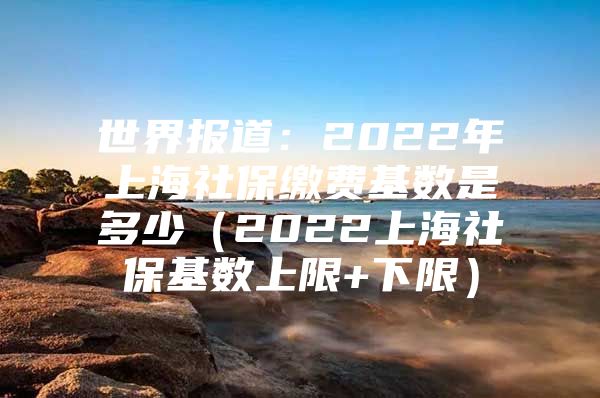 世界报道：2022年上海社保缴费基数是多少（2022上海社保基数上限+下限）