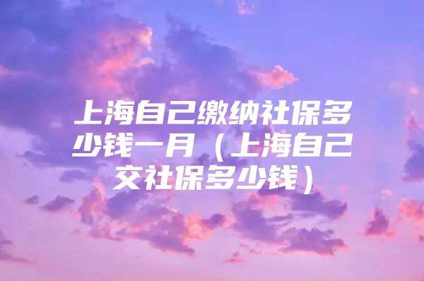 上海自己缴纳社保多少钱一月（上海自己交社保多少钱）