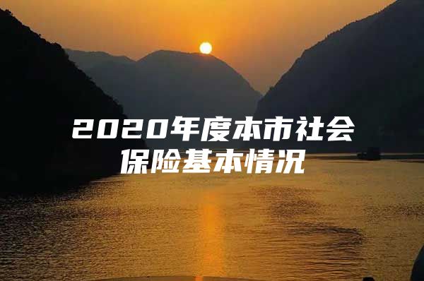 2020年度本市社会保险基本情况