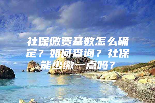 社保缴费基数怎么确定？如何查询？社保能少缴一点吗？