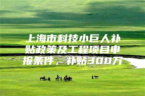 上海市科技小巨人补贴政策及工程项目申报条件，补贴300万