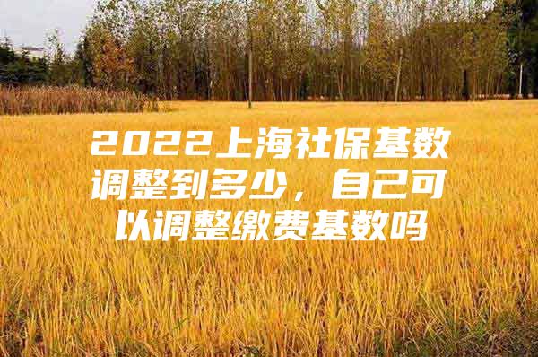 2022上海社保基数调整到多少，自己可以调整缴费基数吗