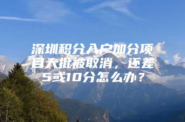 深圳积分入户加分项目大批被取消，还差5或10分怎么办？