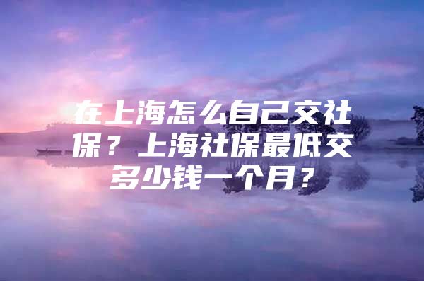 在上海怎么自己交社保？上海社保最低交多少钱一个月？