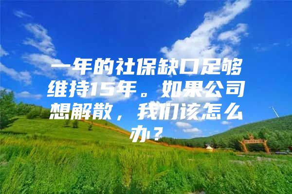 一年的社保缺口足够维持15年。如果公司想解散，我们该怎么办？