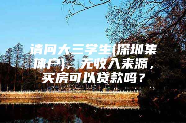 请问大三学生(深圳集体户)，无收入来源，买房可以贷款吗？