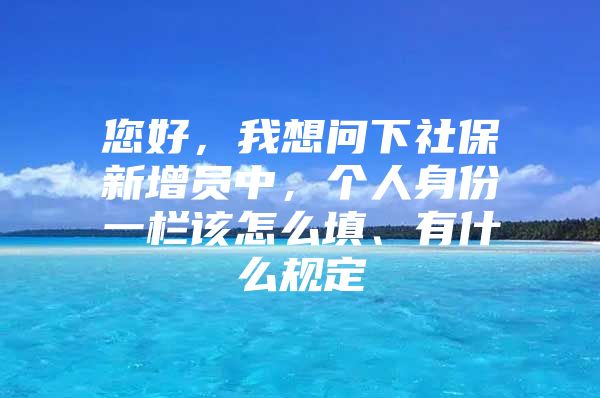 您好，我想问下社保新增员中，个人身份一栏该怎么填、有什么规定