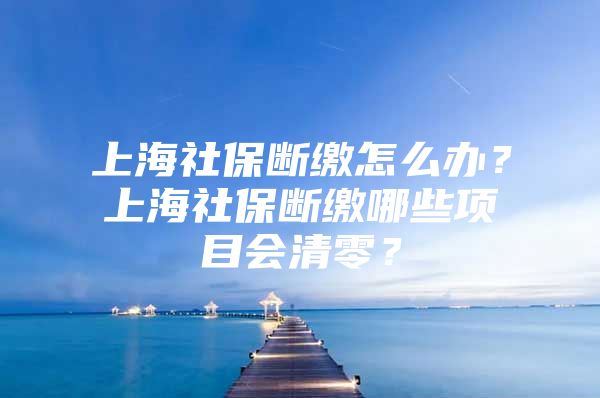 上海社保断缴怎么办？上海社保断缴哪些项目会清零？