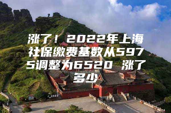 涨了！2022年上海社保缴费基数从5975调整为6520 涨了多少