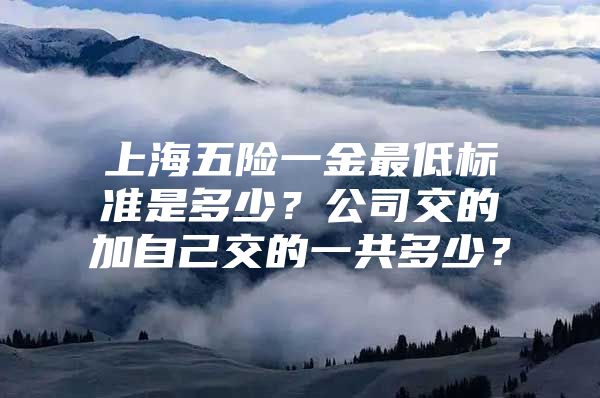 上海五险一金最低标准是多少？公司交的加自己交的一共多少？