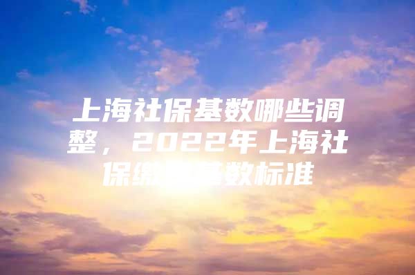 上海社保基数哪些调整，2022年上海社保缴费基数标准