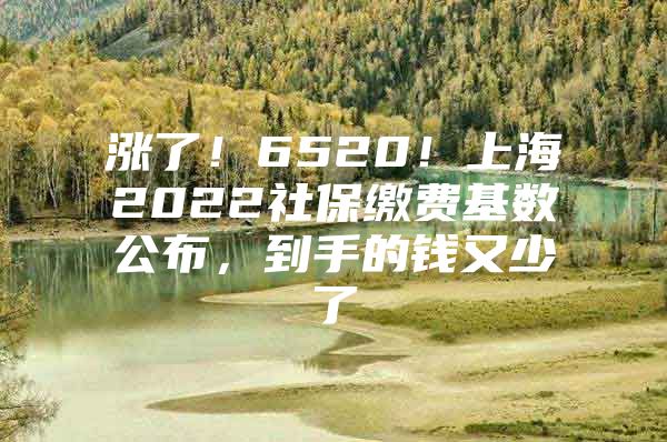 涨了！6520！上海2022社保缴费基数公布，到手的钱又少了