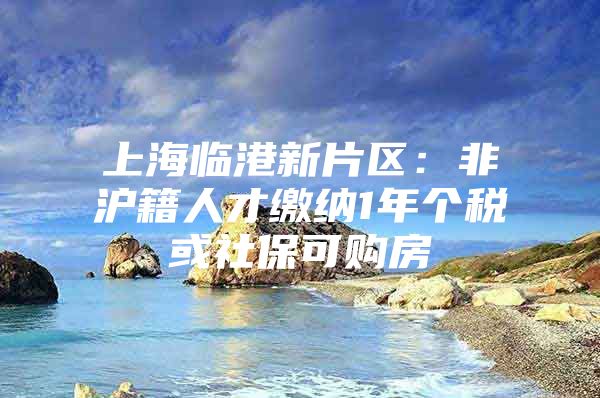 上海临港新片区：非沪籍人才缴纳1年个税或社保可购房