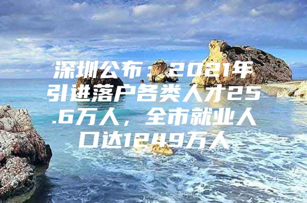 深圳公布：2021年引进落户各类人才25.6万人，全市就业人口达1249万人