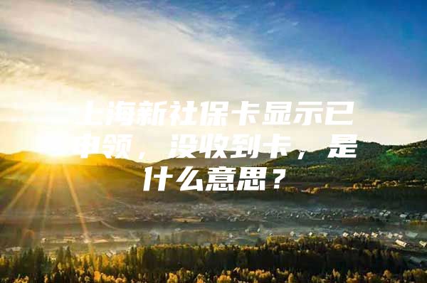 上海新社保卡显示已申领，没收到卡，是什么意思？