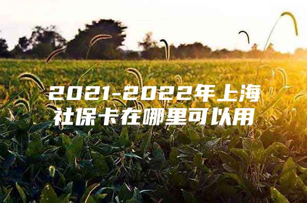 2021-2022年上海社保卡在哪里可以用