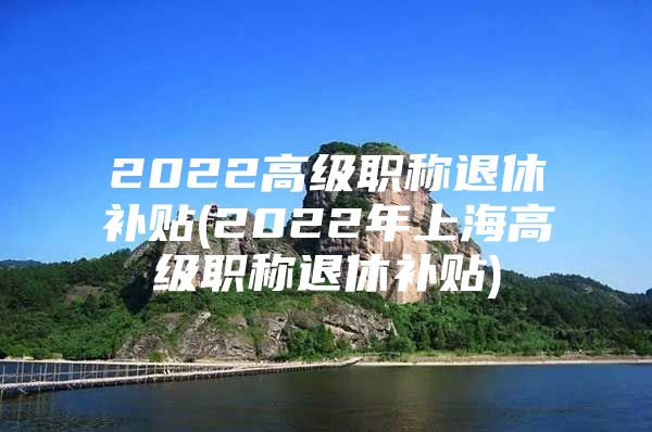 2022高级职称退休补贴(2022年上海高级职称退休补贴)